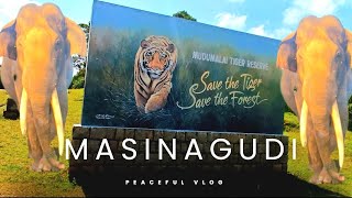 Mudumalai Tiger Reserve 🐅 masinagudi peaceful vlog [upl. by Netsyrc361]