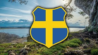 Stormande Ungdom Swedish Song Subtitles [upl. by Akamahs]