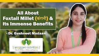 All about Foxtail Millet amp its immense benefit  Arogyam Nutrition by Dr Richa Garg [upl. by Eleen]