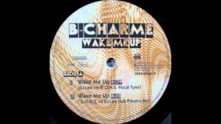 BCharme  Wake Me Up Original Radio Mix [upl. by Carlee83]