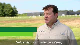 Recognition Provides Exceptional Turf Safety with Metcamifen [upl. by Ecyned]