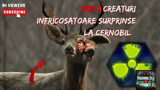 Top 5 Creaturi INFRICOSATOARE Surprinse La CERNOBIL Part2 [upl. by Esiralc]