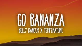 Belly Dancer x Temperature TikTok Remix dont be shy girl go bananza [upl. by Esahc289]