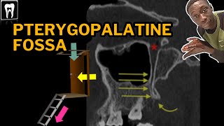 Pterygopalatine Fossa Anatomy  PPF Boundaries and Foramina  Radiology Anatomy [upl. by Cantlon]