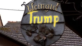 Trumps Ancestors Made Wine In This Tiny German Town For 100 Years [upl. by Birdie]