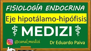 Fisiología Endocrina  Eje Hipotálamo Hipófisis hipotálamohipofisario IGdoctorpaiva [upl. by Ramsay]