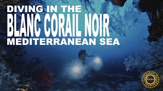 Plongée sur un sec  Blanc corail noir septembre 2024 diveexplo360 [upl. by Aleece]