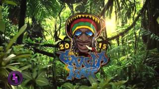 Alfons Ganjaman 2015 Official video Bass Boosted HD [upl. by Arraic335]