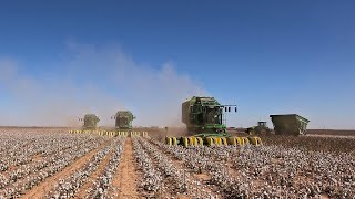 2024 West Texas Cotton Harvest day 3 [upl. by Yzzo]