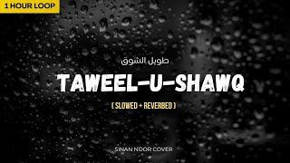 1 HOUR LOOPED Peaceful NASHEED Taweel Al Shawq  slowedreverbed   Sinan Noor version [upl. by Rehtae]