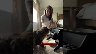 Elle apprend à son chat à jouer du piano 🎹 [upl. by Artemus6]