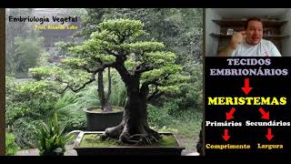 Embriologia vegetal [upl. by Leslee675]