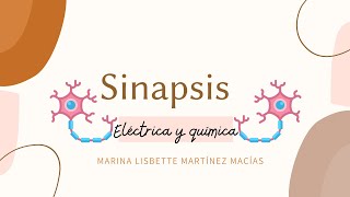 Sinapsis química y eléctrica 🔬 [upl. by Nednarb]