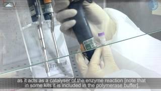 PCR Master Mix preparation and RTPCR [upl. by Rhodie]