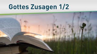 Was trägt dich in jeder Lebenslage 12 – Bayless Conley [upl. by Rattan729]