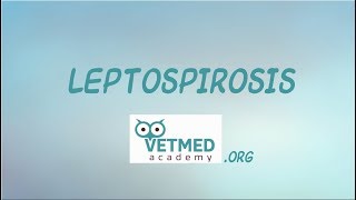 Introduction to Leptospirosis [upl. by Lorena]