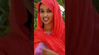 ተገኘ ባሌ Ethiopian MusicDonkey TubeAbel BirhanuVeronica AdaneYared NeguSeifu ON EBS [upl. by Notxed]