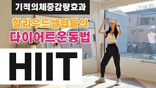 구정맞이 기적의 할리우드 올인원 다이어트운동 HIIT  30 MIN MIRACLE FULLBODY HIIT WORKOUT [upl. by Allan447]