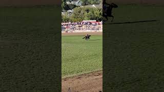 Pendleton Roundup Chapter 5 satisfying pendletonroundup pendleton barrelracing [upl. by Llorrad753]