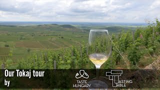 Taste Hungary Wine Tour to Tokaj [upl. by Sheelagh]