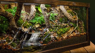 Realistic Indoor Meandering Creek Forest Biome Vivarium [upl. by Rosane804]