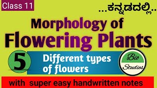 Class 11 ಕನ್ನಡದಲ್ಲಿ  Morphology of Flowering Plants  05  Flower [upl. by Lehet]