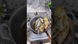 Tutorial goreng ikan tawes part 2 tutorial viral trending shorts komedi [upl. by Teryn934]