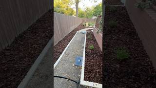 PART 17 Mulching the beds [upl. by Ahsinyt951]