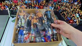 MASSIVE BOX FULL OF UPDATED 2024 WWE FIGURES [upl. by Muscolo]