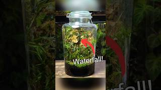 Creating a Waterfall Terrarium  Part 1 [upl. by Felt]