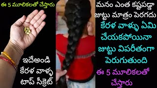 కేరళవాళ్ళు ఏమిచేయకపోయినా జుట్టువిపరీతంగా పెరుగుతుంది ఈ5 మూలికలతో చేస్తారుఅంతే ఇదేవాళ్ళ టాప్ సీక్రెట్ [upl. by Persons]