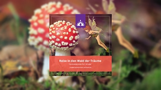 Fantasiereise Kinder Reise in den Wald der Traeume  Einschlafhilfe ☯ ∣ Deutsch  Meditation [upl. by Beall]