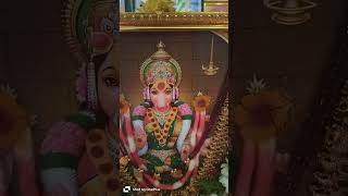 varahi Navratri 2 day Pooja [upl. by Freeborn]