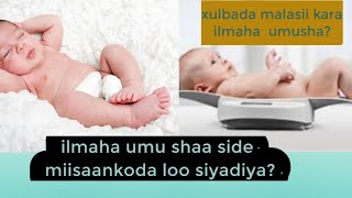 XULBADA MALA SII KARA ILMAHA UMUSHA ILMAHA UMUSHA SIDEE MIISAAN KOODA LOO GORDHIYA [upl. by Berget]