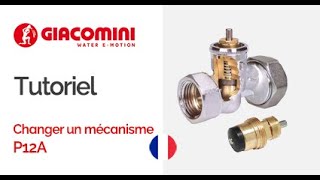 Changer le mécanisme intérieur dun robinet thermostatisable GIACOMINI [upl. by Aitekram556]