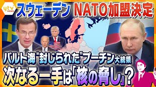 【タカオカ解説】実は軍事大国のスウェーデンがNATO加盟 バルト海を“封じられた”プーチン大統領が期待するのは「トランプ氏の再選」⁉ [upl. by Wendi638]