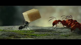 Teaser trailer 2 de Minuscule Valley Of The Lost Ants HD [upl. by Enineg]