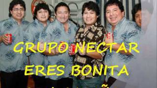 GRUPO NECTAR ERES BONITA [upl. by Immas]