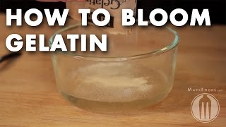 How to Bloom Gelatin  Tutorial Video [upl. by Rabbi]