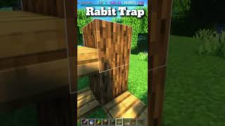 Rabit Traps EXPOSED in Minecraft  Real Roo shorts minecraft [upl. by Mercola]