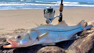 COMO pescar RÓBALOS de PLAYA  TIPS DE PESCA  pesca de ORILLA [upl. by Enniroc875]