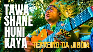 Terreiro da Jibóia  Tawa Shane Huni Kaya [upl. by Lawtun]