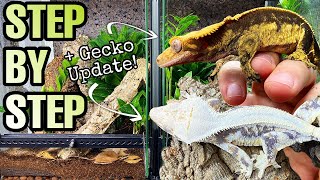 HOW TO SETUP A CRESTED GECKO VIVARIUM  GECKO UPDATE [upl. by Neltiak]