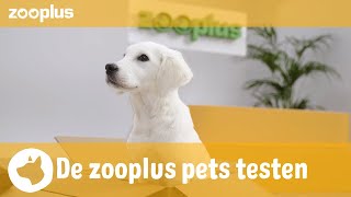 Josi  De zooplus pets testen Royal Canin Maxi Puppy [upl. by Sitoel]