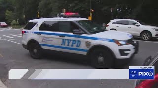 Police searching for alleged groper in Prospect Park [upl. by Allac]