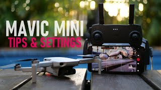 Mavic Mini amp DJI Mini SE  Best Tips amp Settings  DansTubeTV [upl. by Arhoz380]