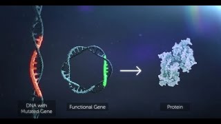 Gene Therapy Explained [upl. by Imoen]