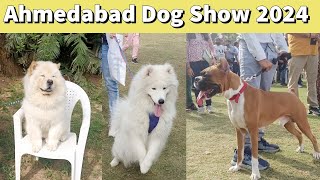 Dog Show Ahmedabad 2024  samoyed cocker spaniel Boxer Pug german shepherd siberian husky [upl. by Simaj]