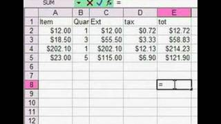 Excel Spread Sheet Basics  Using a Formula [upl. by Nonnag]