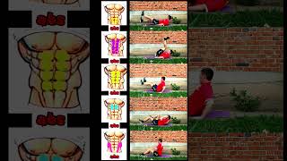 six pack abs exercises at home shorts video viralshort sixpackabs [upl. by Anisamoht]